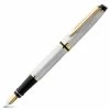 Waterman - Expert Stainless Steel Fountain Pen W/Gold Trim